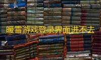 暖雪游戏登录界面进不去解决方案：如何解决登录界面无法进入的问题